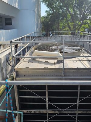 WhatsApp Image 2024-04-02 at 4.43.58 p. m. (1)